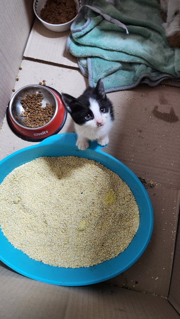 익산유기동물보호소_445468202301208